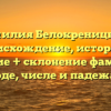 Фамилия Белокреницкий: происхождение, история и значение + склонение фамилии в роде, числе и падежах