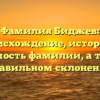Фамилия Биджев: происхождение, история и значимость фамилии, а также о правильном склонении