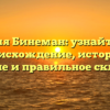 Фамилия Бинеман: узнайте про ее происхождение, историю, значение и правильное склонение
