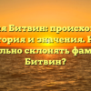 Фамилия Битвин: происхождение, история и значения. Как правильно склонять фамилию Битвин?
