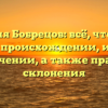 Фамилия Бобрецов: всё, что нужно знать о происхождении, истории и значении, а также правила склонения