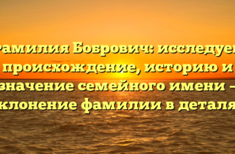 Фамилия Бобрович: исследуем происхождение, историю и значение семейного имени — склонение фамилии в деталях Фамилия Бобрович: исследуем происхождение, историю и значение семейного имени — склонение фамилии в деталях
