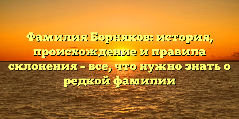 Фамилия Борняков: история, происхождение и правила склонения – все, что нужно знать о редкой фамилии