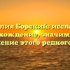 Фамилия Борский: исследуем происхождение, значимость и склонение этого редкого рода