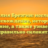 Фамилия Брезгин: исследуем происхождение, историю и значение, а также узнаем как правильно склонять