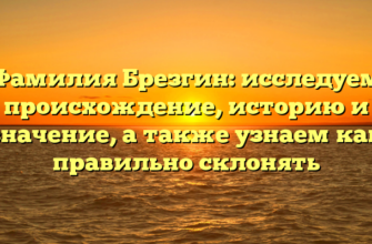 Фамилия Брезгин: исследуем происхождение, историю и значение, а также узнаем как правильно склонять Фамилия Брезгин: исследуем происхождение, историю и значение, а также узнаем как правильно склонять