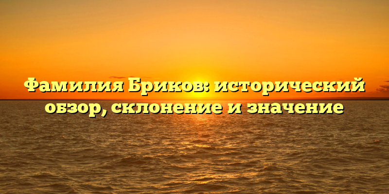 Фамилия Бриков: исторический обзор, склонение и значение