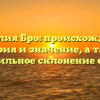 Фамилия Бро: происхождение, история и значение, а также правильное склонение слова