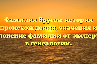 Фамилия Брусов: история происхождения, значения и склонение фамилии от экспертов в генеалогии.