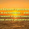 Фамилия Будаев: происхождение, история и склонение — узнайте всё о значении и оригинальной истории этого редкого имени