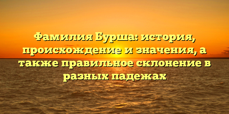 Фамилия Бурша: история, происхождение и значения, а также правильное склонение в разных падежах