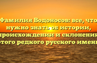 Фамилия Водоносов: все, что нужно знать об истории, происхождении и склонении этого редкого русского имени