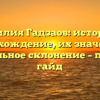 Фамилия Гадзаов: история и происхождение, их значение и правильное склонение – полный гайд