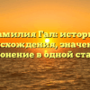 Фамилия Гал: история происхождения, значение и склонение в одной статье