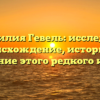 Фамилия Гевель: исследуем происхождение, историю и значение этого редкого имени