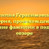Фамилия Герасимовский: история, происхождение и склонение фамилии в подробном обзоре