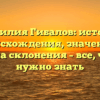 Фамилия Гибалов: история происхождения, значение и правила склонения – все, что вам нужно знать