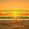 Фамилия Гималетдинова: изучаем происхождение, историю и склонение для полного понимания значения