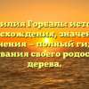 Фамилия Горбаль: история происхождения, значения и склонения — полный гид для исследования своего родословного дерева.