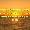 Фамилия Горских: история происхождения, значение и правильное склонение — полный гид