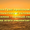 Фамилия Гуве: происхождение, перспективы и склонение фамилии — полный гид по истории этого именитого рода.