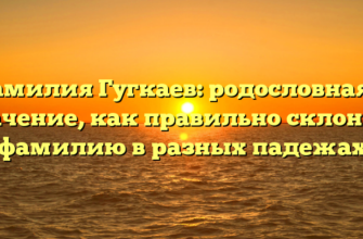 Фамилия Гугкаев: родословная и значение, как правильно склонять фамилию в разных падежах
