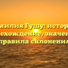 Фамилия Гушу: история, происхождение, значения и правила склонения