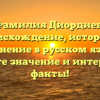 Фамилия Диордиев: происхождение, история и склонение в русском языке. Узнайте значение и интересные факты!