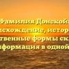 Фамилия Донской: происхождение, история и множественные формы склонения – вся информация в одной статье