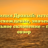 Фамилия Драный: история, происхождение, значение и правильное склонение — полный обзор