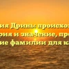 “Фамилия Дринь: происхождение, история и значение, простое склонение фамилии для каждого”