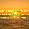 Фамилия Дрючина: история происхождения и значения, правильное склонение