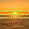 Фамилия Евстигнеевич: история происхождения, значения и правила склонения.
