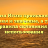 Фамилия Игин: происхождение, история и значение, а также правила склонения и использования