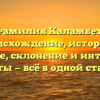 Фамилия Каламбет: происхождение, история и значение, склонение и интересные факты — всё в одной статье!