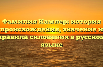 Фамилия Камлер: история происхождения, значение и правила склонения в русском языке Фамилия Камлер: история происхождения, значение и правила склонения в русском языке