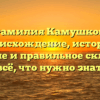 Фамилия Камушков: происхождение, история, значение и правильное склонение – всё, что нужно знать!