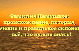 Фамилия Камушков: происхождение, история, значение и правильное склонение – всё, что нужно знать!