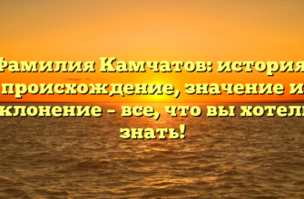 Фамилия Камчатов: история, происхождение, значение и склонение – все, что вы хотели знать!