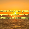 Фамилия Кандаев: узнай про историю, происхождение, значение и склонение!