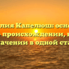 Фамилия Капелюш: основные факты о происхождении, истории и значении в одной статье