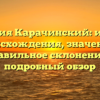 Фамилия Карачинский: история происхождения, значение и правильное склонение — подробный обзор