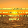 Фамилия Каширины: происхождение, история и значение, склонение и интересные факты