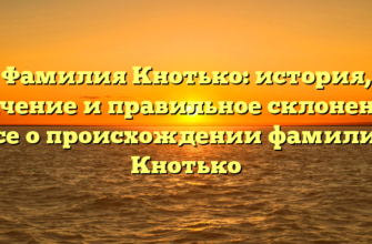 Фамилия Кнотько: история, значение и правильное склонение | Все о происхождении фамилии Кнотько