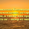 Фамилия Коломыцев: происхождение, история и значение, а также как правильно склонять ее — обзор от экспертов