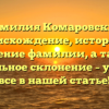 Фамилия Комаровские: происхождение, история и значение фамилии, а также правильное склонение – узнайте все в нашей статье!
