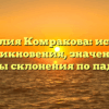 Фамилия Комракова: история возникновения, значения и способы склонения по падежам