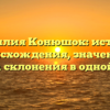 Фамилия Конюшок: история происхождения, значение и правила склонения в одной статье.