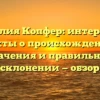 Фамилия Копфер: интересные факты о происхождении, значения и правильном склонении — обзор