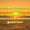 Фамилия Котенко: история, происхождение и значение в контексте генеалогии. Склонение и уникальные особенности фамилии